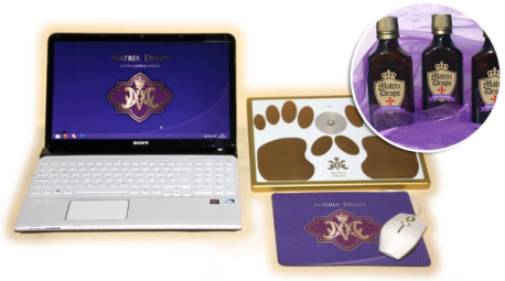 Matrix Drops Computer